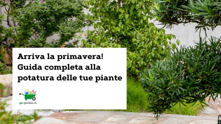 giardino_in_primavera_gr_giardini_brissago_potatura_piante: titolo dell'articolo in nero con fondo di foto di giardini e verde