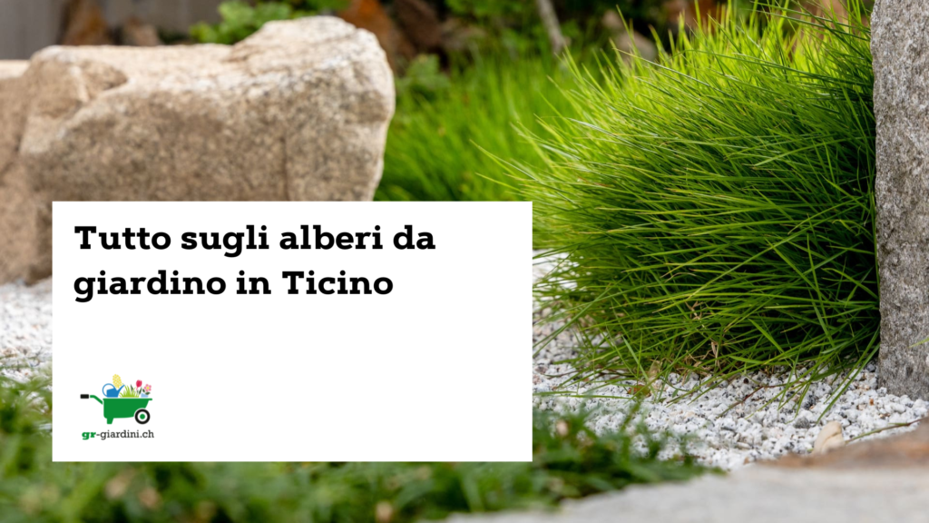 alberi_da_giardino_ticino_gr_giardini: titolo dell'articolo in bianco con sfondo di foto con piante