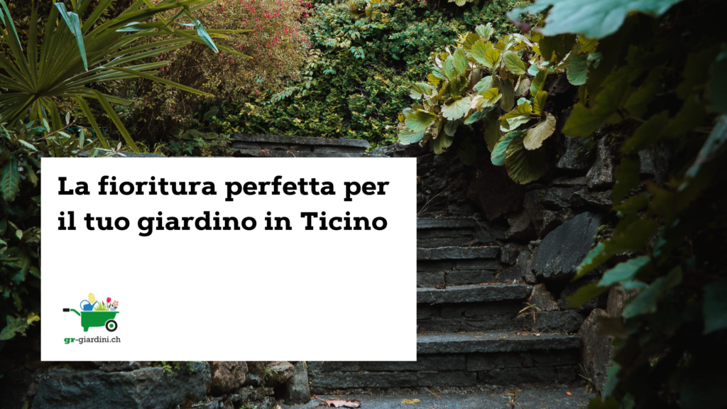 fiori_in_giardino_ticino_gr_giardini: titolo dell'articolo in nero su fondo con foto di giardini