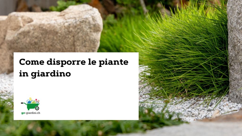 come_disporre_le_piante_in_giardino_gr_giardini_ticino