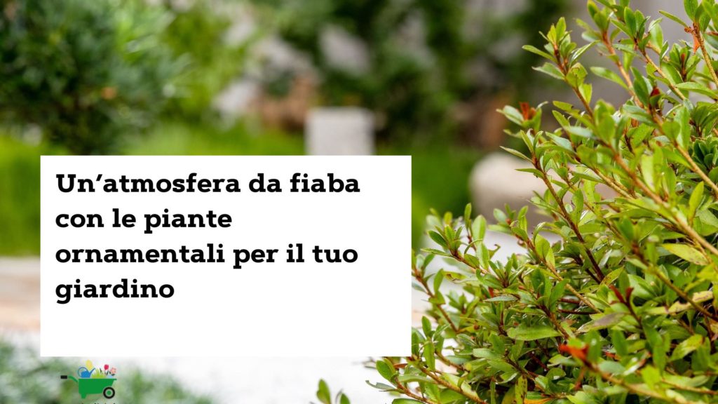 piante_giardino_gr_giardini_ticino