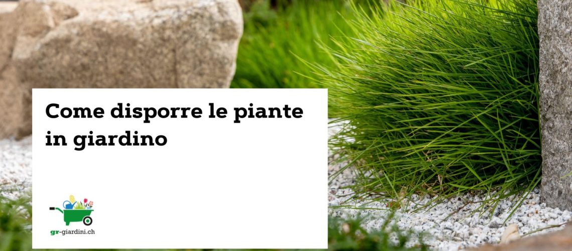 come_disporre_le_piante_in_giardino_gr_giardini_ticino