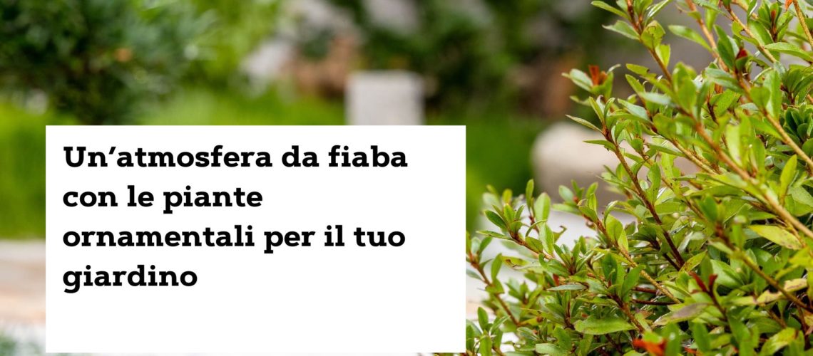 piante_giardino_gr_giardini_ticino